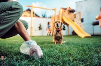 worki na psie odchody