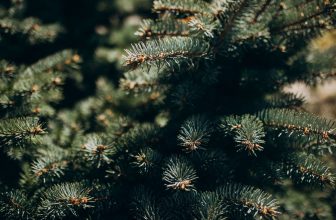 Choinka z recyklingu