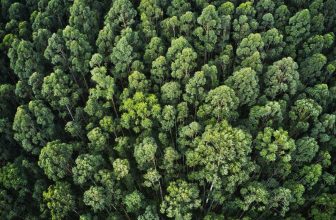 Jak firmy dbają o środowisko
