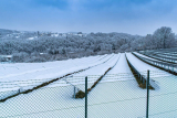 Fotowoltaika zimą – jaka jest wydajność paneli fotowoltaicznych w okresie zimowym oraz ile prądu produkują? 